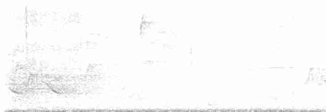Chestnut-sided Warbler - ML572533681