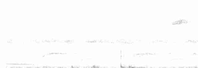 Белолобая голубка - ML572544961