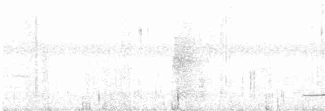 Thicket Tinamou - ML572547351