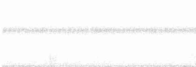 Thicket Tinamou - ML572547361