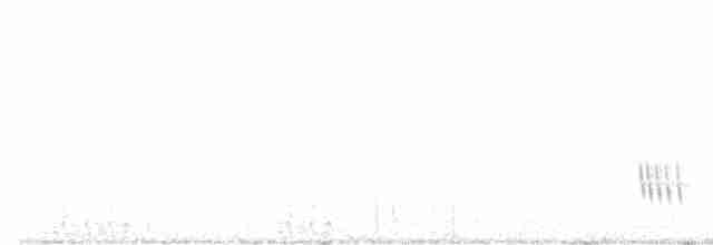 Pas Sırtlı Karıncakuşu - ML572551821