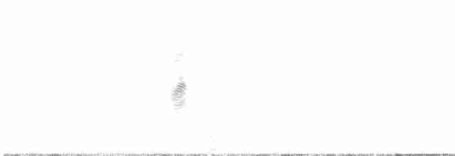 Chihuahuan Meadowlark - ML572552731