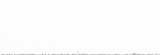 Chihuahuan Meadowlark - ML572552741