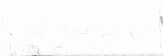 White-sided Flowerpiercer - ML572566151