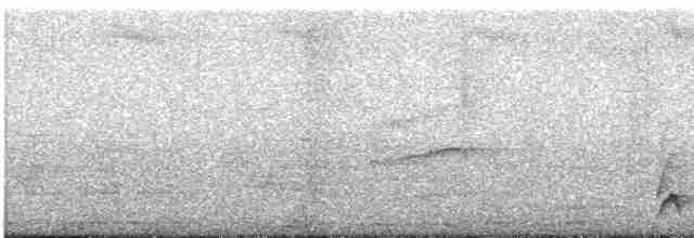 Blackish Tapaculo - ML572566571