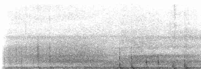 Kara Karınlı Islıkçı Ördek - ML572571261