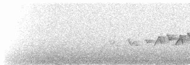 Белокрылая канделита - ML572578131