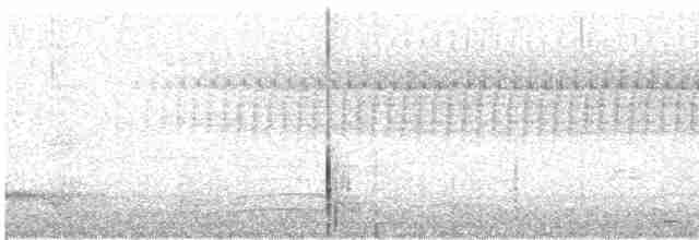 Cırcır Sesli Serçe - ML572584851