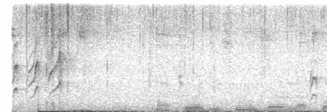 Черногорлая иглохвостка - ML572622051