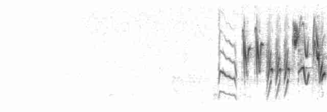 Rostscheitelammer - ML572669101