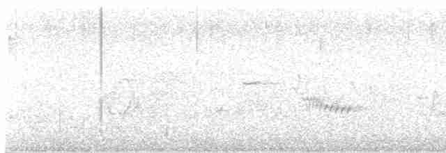 Каролинский крапивник - ML572674631