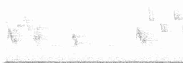 Blackpoll Warbler - ML572711271