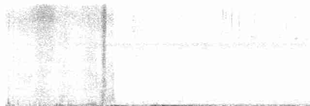 Rosy Thrush-Tanager - ML572737711
