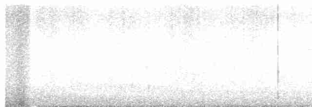 Kestane Göğüslü Çıtkuşu - ML572741791