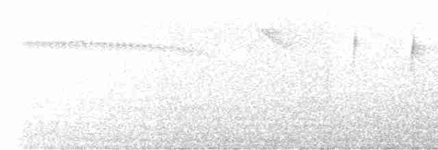 Anabate de Lichtenstein - ML572744131