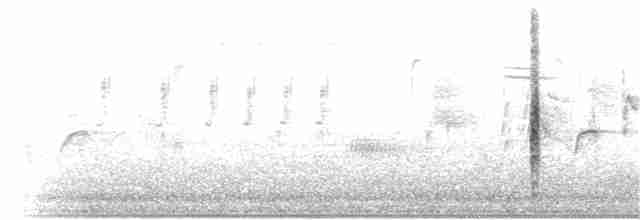 vlhovec červenokřídlý [skupina phoeniceus] - ML57274511