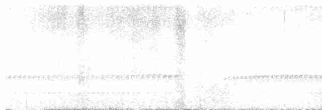 Mérulaxe de Spillmann - ML572750311