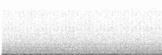 Cisne Trompetero - ML572796261