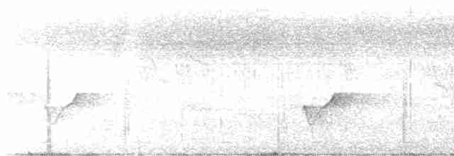 langhaleskredderfugl - ML572806791
