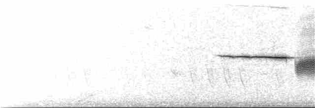 Бруант білобровий (підвид pugetensis) - ML57281011