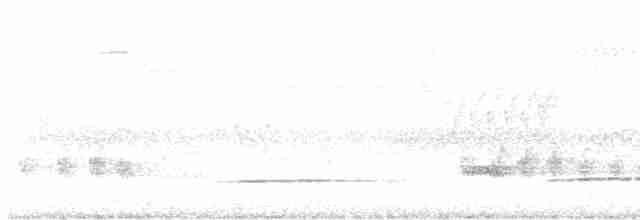 Little Tinamou - ML572819921