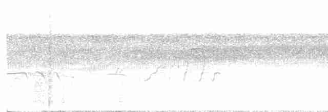 Pauraquenachtschwalbe - ML572829471