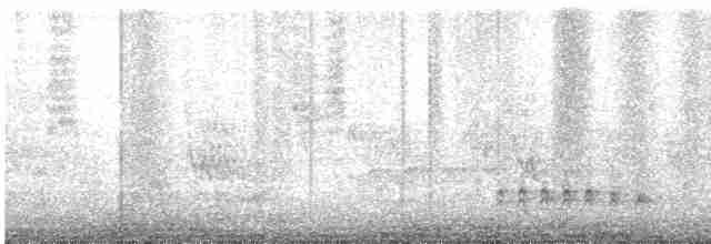 Orman Ardıcı - ML572833341