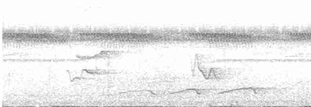 Серый тиранн-плакса - ML572866051