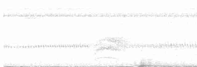 Little Tinamou - ML572866551