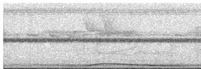holub neotropický - ML572872751