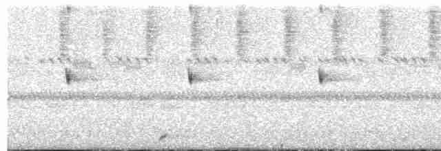 Scissor-tailed Nightjar - ML572879061