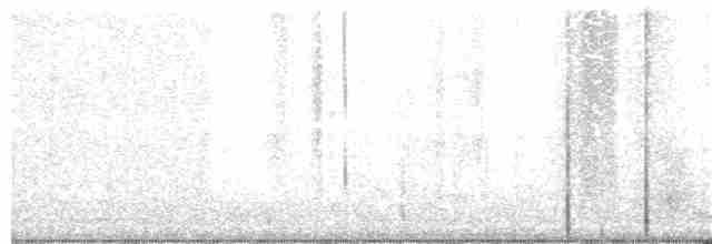 gyllentykknebb (aurantiacus) - ML57287921