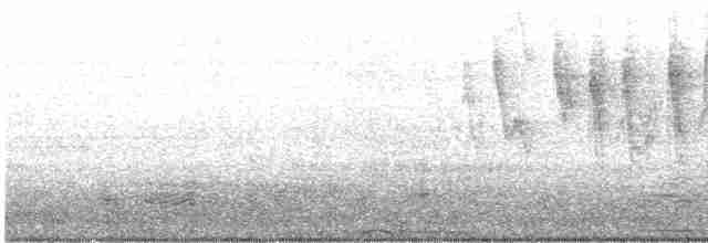 Болотянка мала (підвид chryseola) - ML572887241