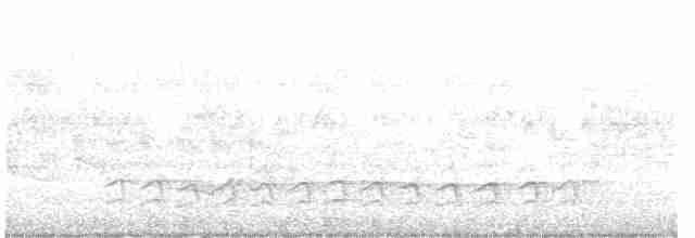 Weißbrustkleiber - ML572979641