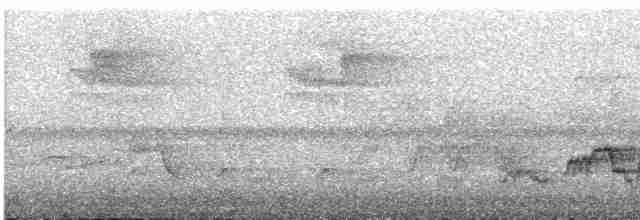 Дрізд-короткодзьоб Cвенсона - ML572996071