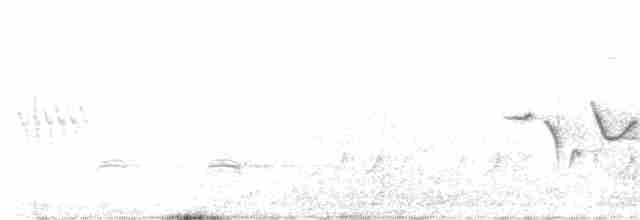 Common Rosefinch - ML573012531