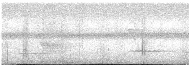 White-necked Thrush - ML573018061
