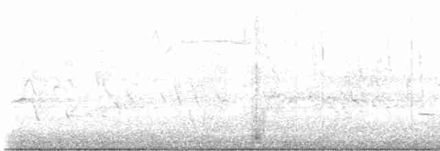 White-eyed Vireo - ML573073221