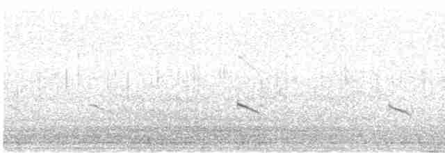Flussregenpfeifer (curonicus) - ML573193421