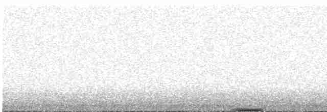 Tétras fuligineux - ML573201691