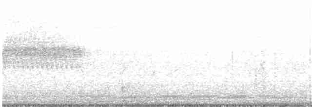 Spotted Towhee (oregonus Group) - ML573224641