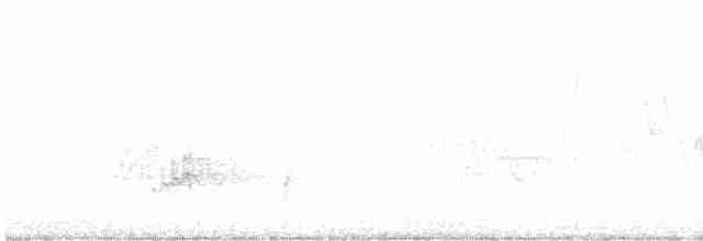 Черногорлая хвойница - ML573260361