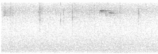 Paruline à calotte noire (chryseola) - ML573268411