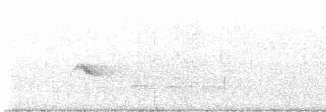 Дрізд-короткодзьоб малий - ML573272421
