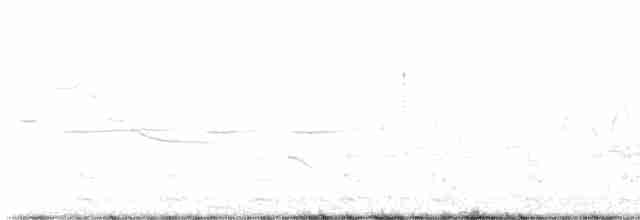 Gallinule d'Amérique - ML573344631