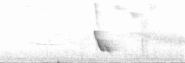 Пересмішник жовтодзьобий - ML57335811