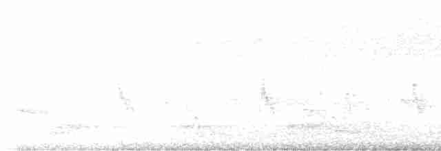 Puff-throated Babbler - ML573404031