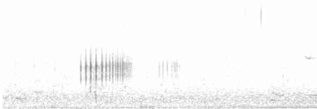 kachnovec vlnkovaný - ML573429781