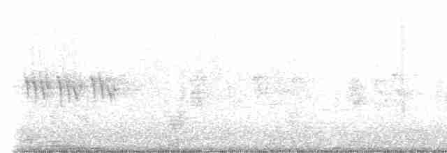 Pouillot de Swinhoe - ML573434161