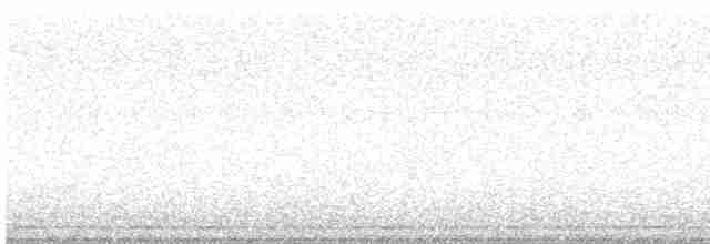 חרטומית ביצות - ML573438811